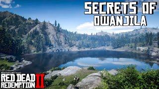 All 10 Hidden Secrets of Owanjila You Might Missed  RDR2 [upl. by Alil]