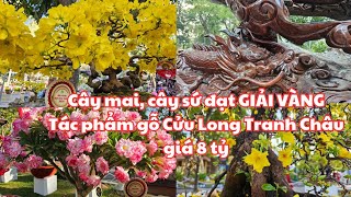 3 CÂY MAI đạt giải Vàng Bạc Đồng ở HỘI HOA XUÂN TPHCM 2024  Tác phẩm gỗ CỬU LONG TRANH CHÂU 79 tỷ [upl. by Irrab]