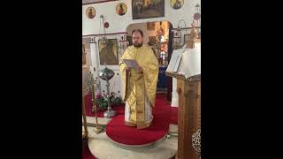 Fête paroissiale de l’église orthodoxe grecque de Bordeaux avec le Vicaire Général Ambroise 12 [upl. by Ahsieat7]