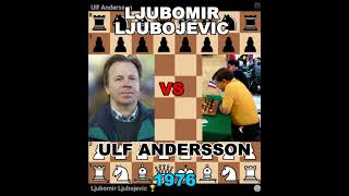 Great Conception and Fantastic Game Ljubomir Ljubojevic vs Ulf Andersson [upl. by Samara]