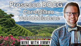 Prosecco Conegliano Valdobbiadene DOCG for WSET Level 4 Diploma [upl. by Yerocal]