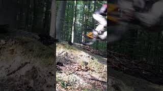 Freeride mtb dirtpark downhill mountainbike mtblife jump [upl. by Nnylsaj]