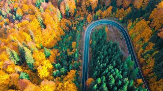 Canta cucun Bucovina  Bucovina plai cu flori [upl. by Oinotla]