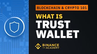 What is Trust Wallet｜Explained For Beginners [upl. by Wordoow]