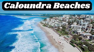 Caloundra Beaches Sunshine Coast  Queensland  Which one is the best for you [upl. by Buddie613]