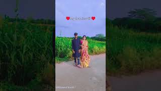 Jibon ato sukher holo amar pase tumi achho tii song shortvideo songs trendingsong [upl. by Sonitnatsnoc]