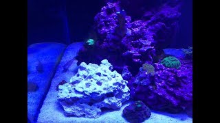 How to Turn Your Dry Rock Into a Frag Rack [upl. by Connolly]