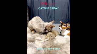 Bestes Catnip Spray aus den USA Perfekt für Katzenspielzeug das neu duften soll catnipspray cat [upl. by Ynnal730]