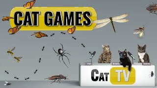 Cat Games  Ultimate Cat TV Bugs and Butterflies Compilation  Videos for Cats to Watch🐱 [upl. by Karlik]