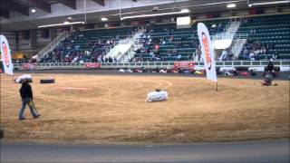 2012 Indoor Dirt Karting Championships  Williamston NC Pro Animal [upl. by Etirugram65]