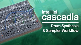 Intellijel Cascadia Drum Synthesis amp Sampling Workflow featuring Elektron Digitakt [upl. by Crockett]