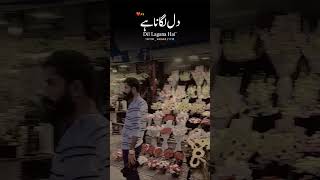 Islamabad flower market f10 videoviralshort [upl. by Noraf125]