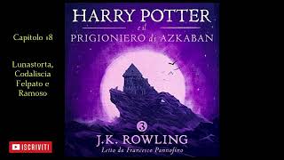 Harry Potter e il Prigioniero di Azkaban Audiolibro Italiano letto da Francesco Pannofino Capitolo18 [upl. by Eirok803]