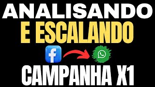 COMO ANALISAR E ESCALAR CAMPANHA X1 [upl. by Akinimod799]