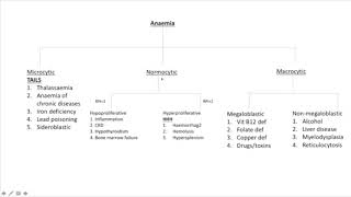 Algorithmic approach to anaemia [upl. by Lanaj]