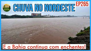 Chuva no Nordeste Em diversos municípios e Bahia com grandes cheias Ep265 [upl. by Konyn]