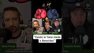 CANELO LE TIENE MIEDO A DAVID BENAVIDEZ canelo caneloberlanga 🥊🔥🥊 [upl. by Etnovaj550]