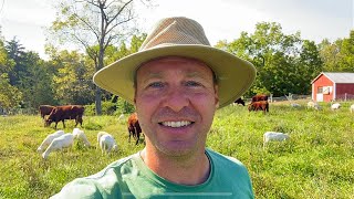 Spring vs Fall Grazing  A Key to Successful Rotational Grazing System [upl. by Lertsek623]