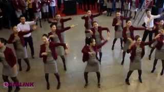 Airlink Flash Mob [upl. by Sukin788]