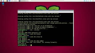 Configure UFW Firewall On Raspberry Pi DNS Server [upl. by Vasiliki796]