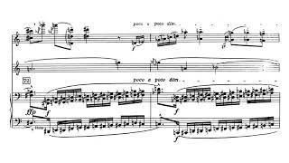 Alban Berg Adagio for Violin Clarinet and Piano Score Video [upl. by Wolsniw]