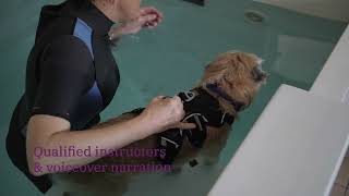 Canine Hydrotherapy courses trailer [upl. by Anelagna716]