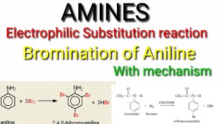 Electrophilic substitution reaction of aniline [upl. by Gypsy436]