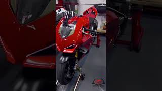 s1000rr vs panigale v4 youtube shorts s1000rr panigale [upl. by Marjorie]