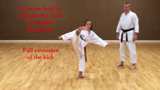 Basic Kyokushin techniques  MAWASHI GERI GEDAN Low kick [upl. by Harelda]