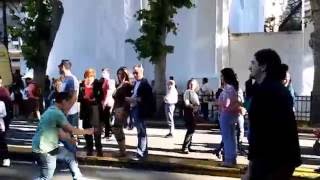 Buenos Aires celebra Líbano 2016  Dabke en la calle [upl. by Acinoda128]