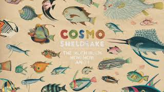 Cosmo Sheldrake  Mind of Rocks ft Bunty [upl. by Macdermot]