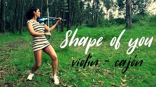 SHAPE OF YOU ED Sheeran 💿 Martha Psyko Ft Diego Miño Tomback Violín  Cajón [upl. by Cornelle918]