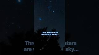 Orion constellation Orion three stars  Orion belt 💫✨🌟 🌠 shorts ytshorts shortfeeds [upl. by Wyly]