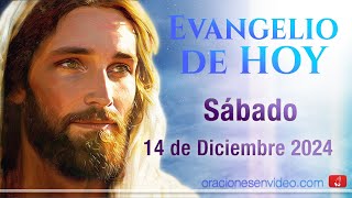 Evangelio de HOY Sábado 14 de diciembre 2024 Mt 171013 Elías ya ha venido y no lo reconocieron [upl. by Zailer]