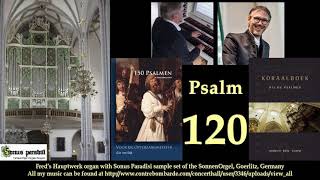 Psalm 120 Cor van Dijk amp Marco den Toom [upl. by Ahseile]