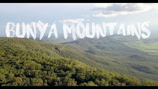 Bunya Mountains [upl. by Aitnuahs165]