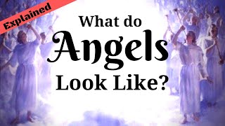 Angelic Creatures in the Bible  Explained [upl. by Hgielime]