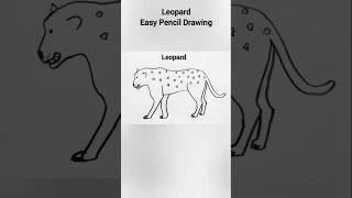 leopard Drawing  Easy Pencil Drawing  drawingartclinic pencildrawing shorts leopard [upl. by Rana389]