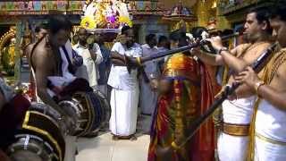 Day 12 The Maha Annual Festival Nadaswaram Performance By Manikandan Brothers 07062012 [upl. by Hnib]