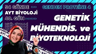 40 Genetik Mühendisliği ve Biyoteknoloji  Genden Proteine  12 Sınıf  2024 AYT Biyoloji 40 Gün [upl. by Eloc]