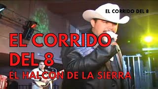 El Halcon De La Sierra  ElCorrido Del 8 EN VIVO [upl. by Rolecnahc]