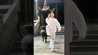 Tai chi morning exercise kungfu taichi dance taichiclass [upl. by Nyleahcim]