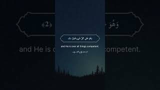 Surah AlHadid  Ayat 13  Maher Al Muaiqly islamicstatus quran quranrecitation [upl. by Etnovert]