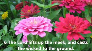 Scottish Metrical Psalms  Psalm 147 with wordsLyrics Sang Acapella [upl. by Grimonia]