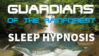 Guided Meditation for Deep Sleep quotGuardians of The Rainforestquot A Mind Hypnosis for Sleeping [upl. by Bergen158]