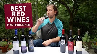 The Best Red Wines For Beginners Series 3 Merlot [upl. by Aiciram]