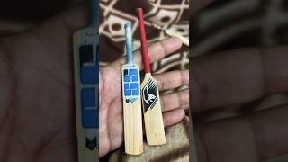 Handmade new mini cricket bats 2024  Miniature or Scalemodel  diy cricket diy handmade toys [upl. by Adnirol542]