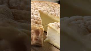 Discover Époisses The King of French Cheese [upl. by Kettie8]