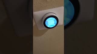 nest e80 no power to y1 wire [upl. by Hadwyn]