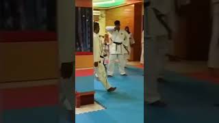 karate practice worldkaratefederation combatsport taekwondo fightingsport wkfkarate martial [upl. by Walton]